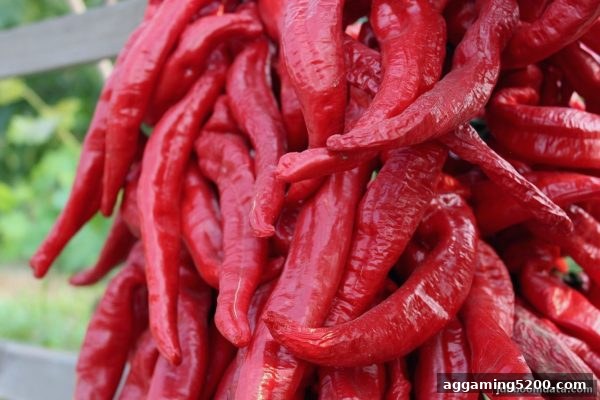 jdb电子爆奖深度解析：番摊特殊符号如何左右你的游戏收益