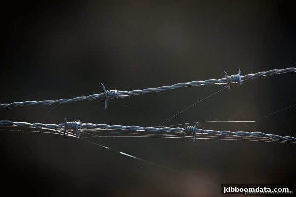 网络游戏违法性全解析：从jdb电子爆奖看合法与违法的分水岭